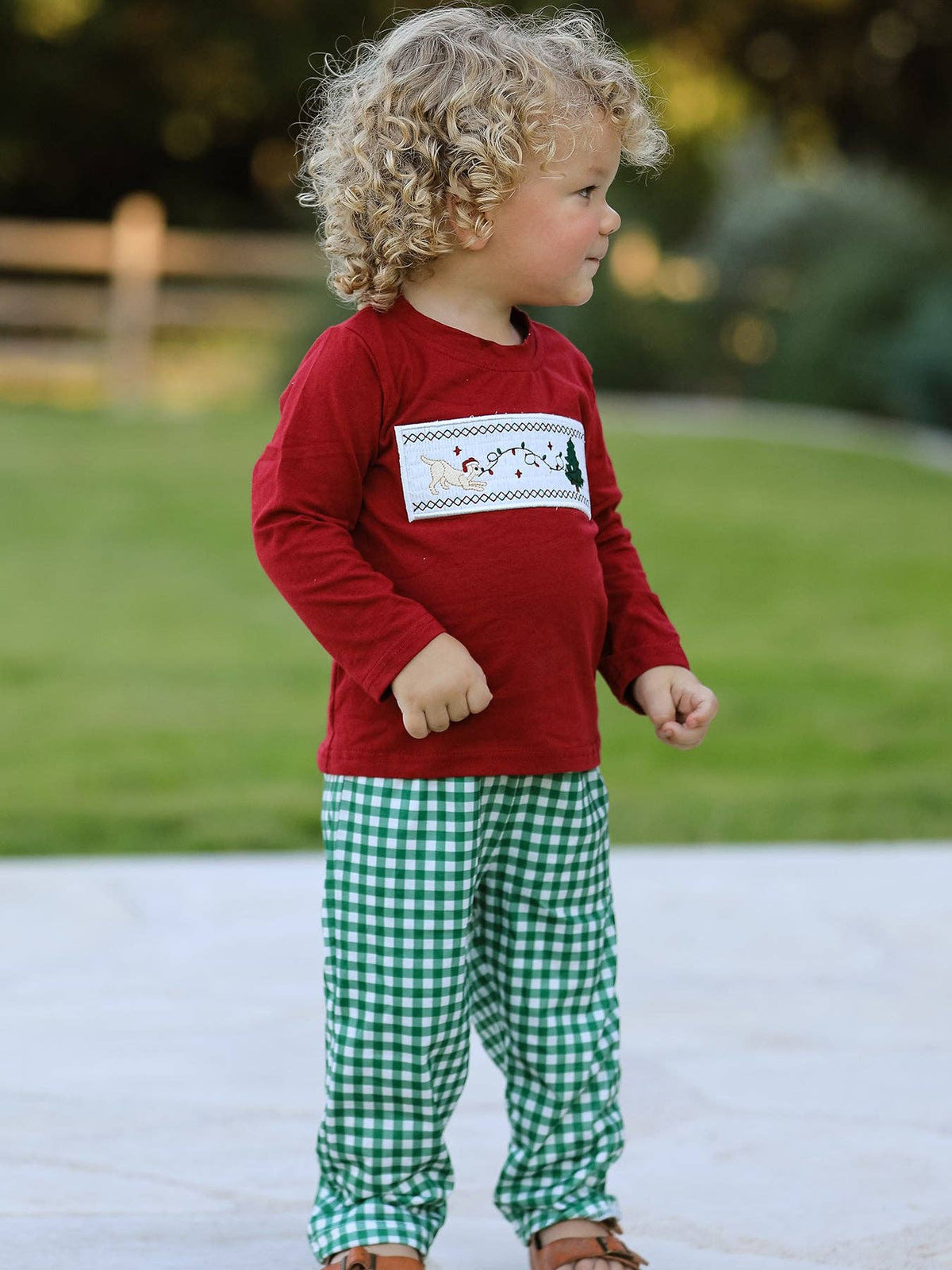 Christmas Tree Dog Smocking Embroidered  Plaid Boys Set: 4