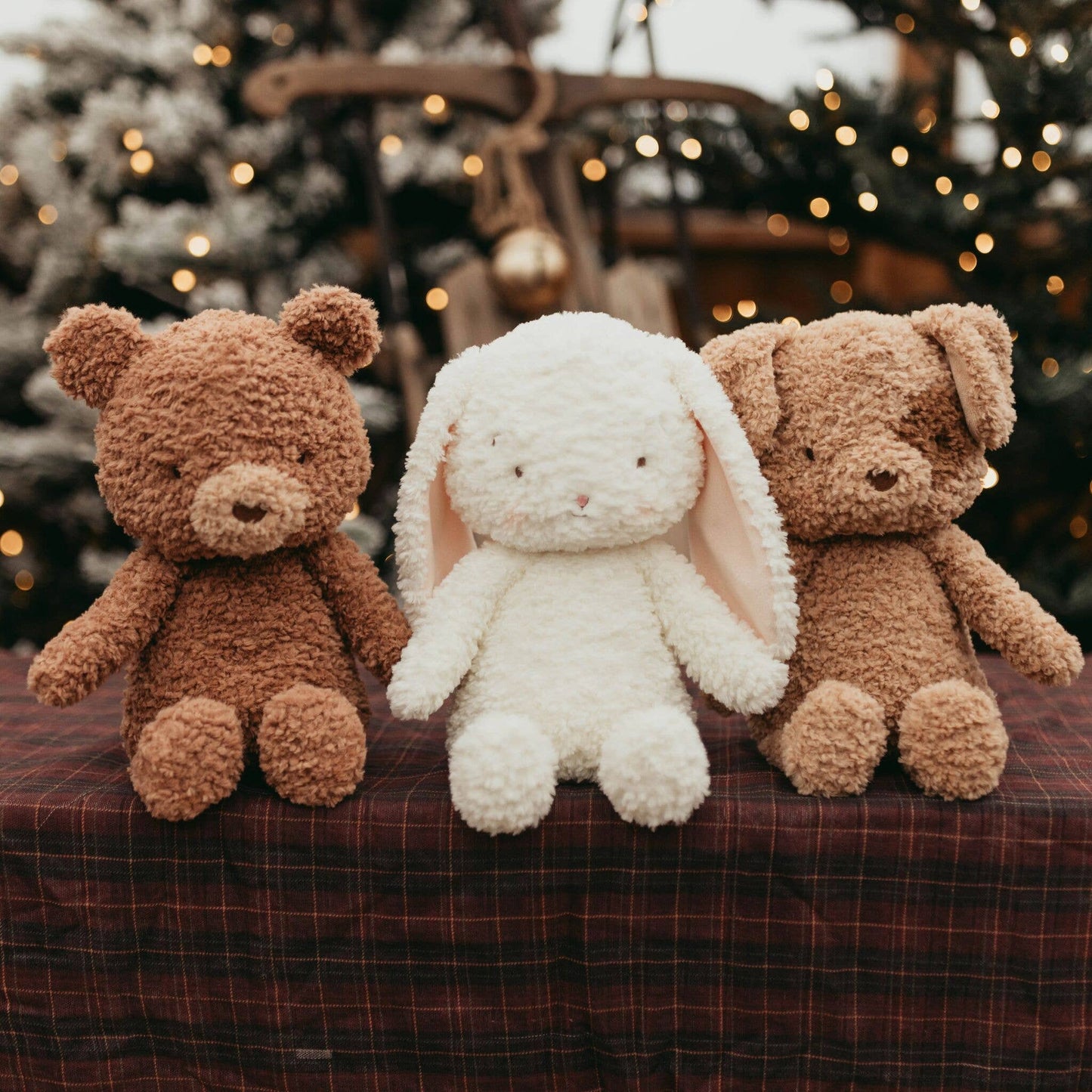 Brownie The Bear