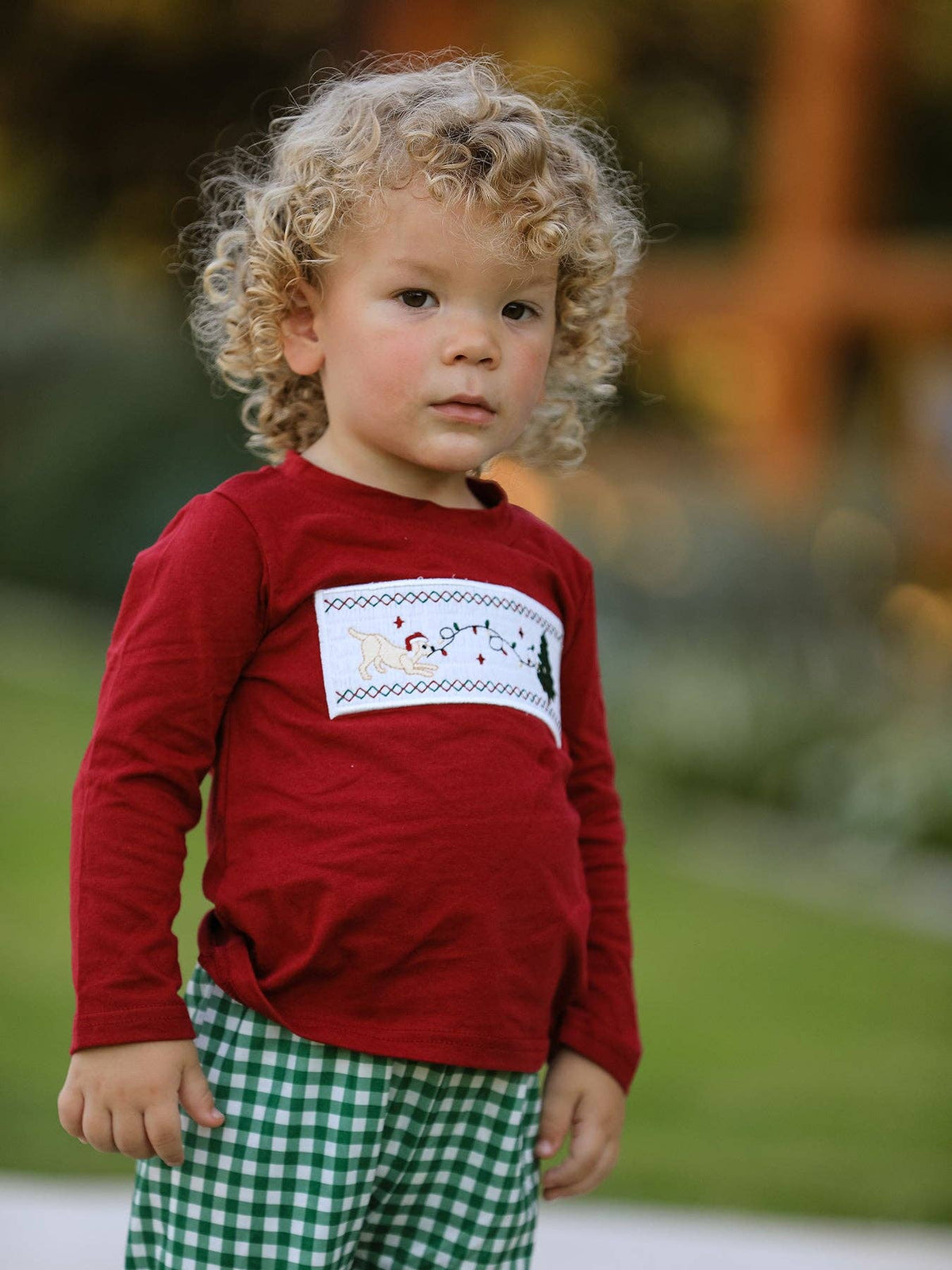 Christmas Tree Dog Smocking Embroidered  Plaid Boys Set: 4