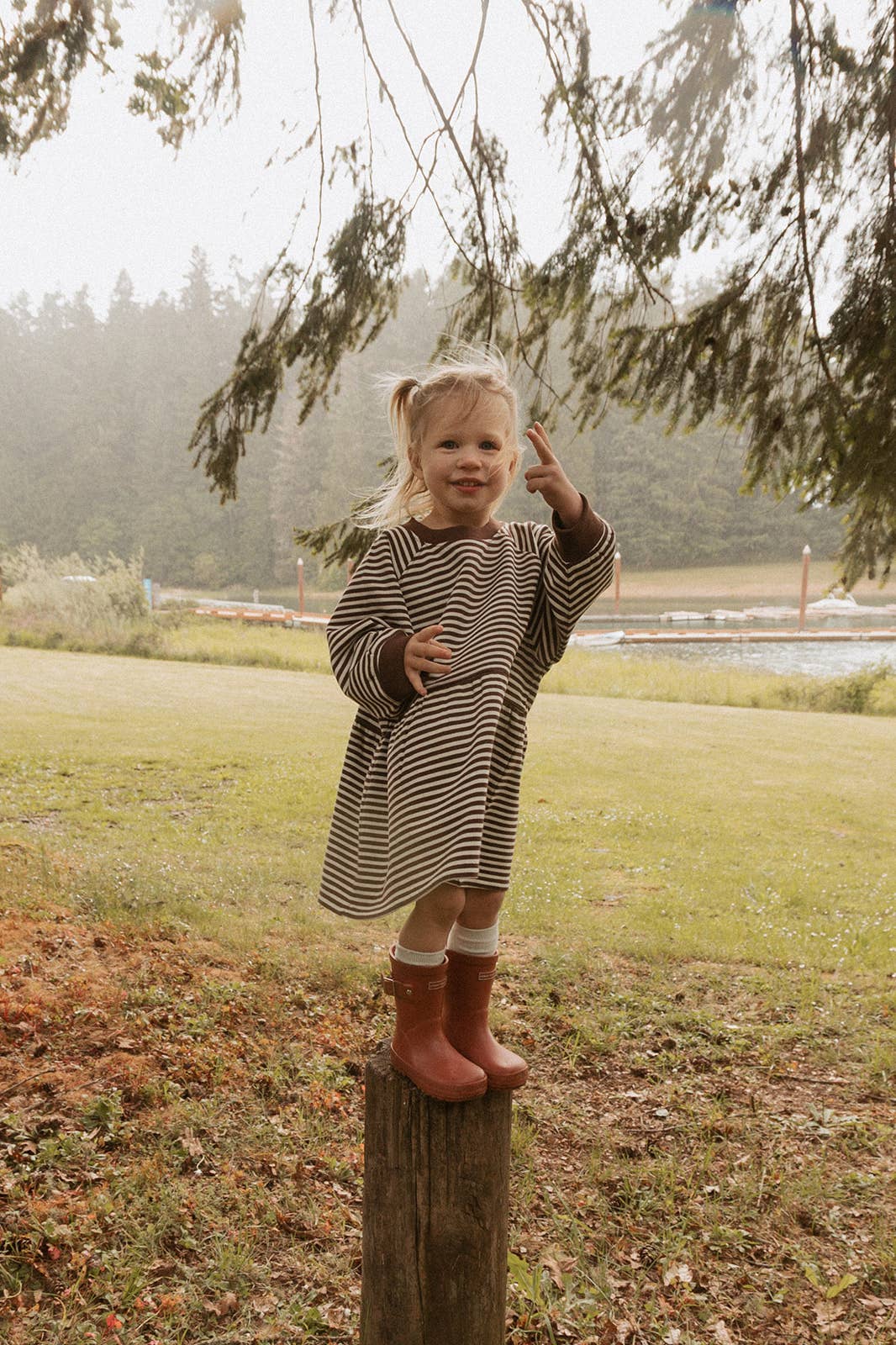 Kelsey Dress in Turtledove Chocolate Stripe