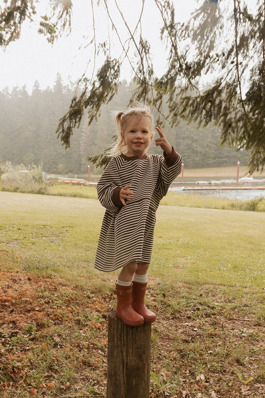 Kelsey Dress in Turtledove Chocolate Stripe