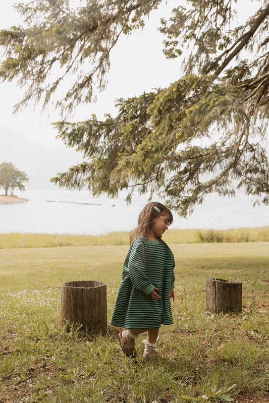Kelsey Dress in Green Blue Stripe